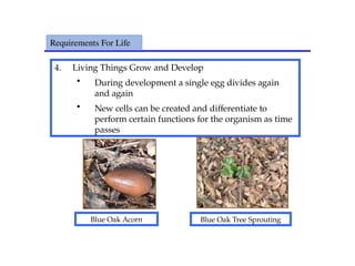 4. Living Things Grow and Develop
• During development a single egg divides again
and again
• New cells can be created and differentiate to
perform certain functions for the organism as time
passes
Requirements For Life
Blue Oak Acorn Blue Oak Tree Sprouting
 