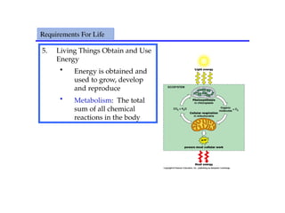 5. Living Things Obtain and Use
Energy
• Energy is obtained and
used to grow, develop
and reproduce
• Metabolism: The total
sum of all chemical
reactions in the body
Requirements For Life
 