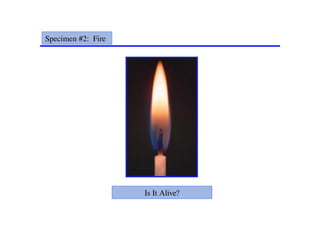 Specimen #2: Fire
Is It Alive?
 