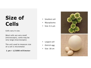 Overall Natural Science-1.pptxjsjsbaksnsbksjsbsjs