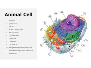 Overall Natural Science-1.pptxjsjsbaksnsbksjsbsjs