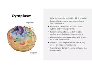 Overall Natural Science-1.pptxjsjsbaksnsbksjsbsjs