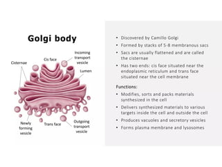 Overall Natural Science-1.pptxjsjsbaksnsbksjsbsjs