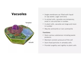 Overall Natural Science-1.pptxjsjsbaksnsbksjsbsjs
