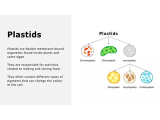 Overall Natural Science-1.pptxjsjsbaksnsbksjsbsjs