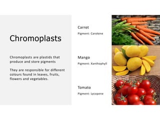 Overall Natural Science-1.pptxjsjsbaksnsbksjsbsjs