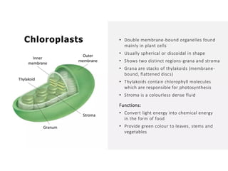 Overall Natural Science-1.pptxjsjsbaksnsbksjsbsjs