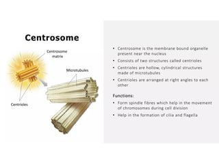 Overall Natural Science-1.pptxjsjsbaksnsbksjsbsjs