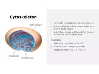 Overall Natural Science-1.pptxjsjsbaksnsbksjsbsjs