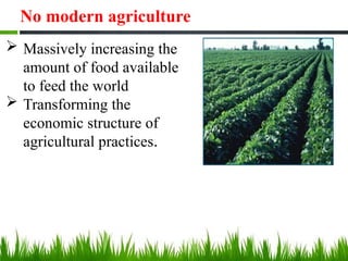 No modern agriculture
 Massively increasing the
amount of food available
to feed the world
 Transforming the
economic structure of
agricultural practices.
 