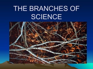 THE BRANCHES OF
SCIENCE
 