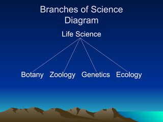 Branches of Science
Diagram
Life Science
Botany Zoology Genetics Ecology
 