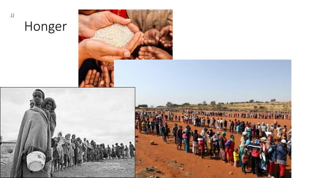 Overpopulation | PPTX