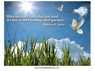 www.AnxietyReliefStress.com
 