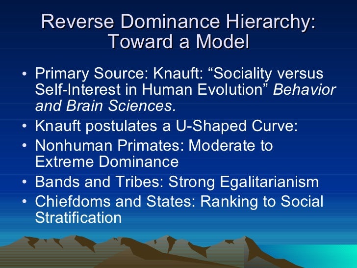 dominance hierarchy definition anthropology