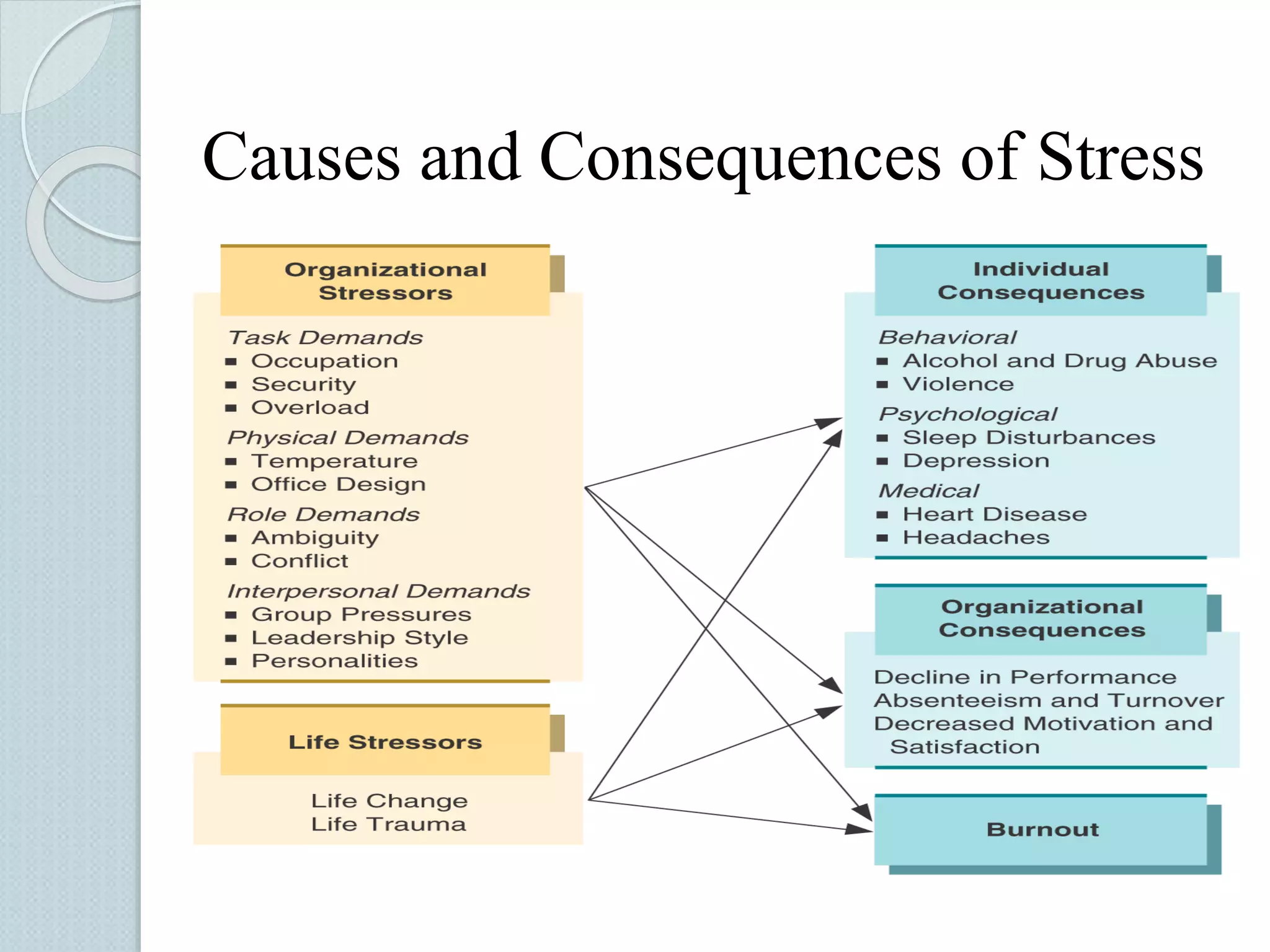 Causes and Consequences of Stress 
 