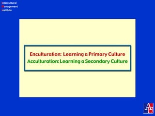 Intercultural
Management
Institute
 