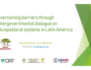 Overcoming barriers through intergovernmental dialogue on silvopastoral systems in Latin America