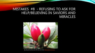 MISTAKES #8 - REFUSING TO ASK FOR
HELP/BELIEVING IN SAVIORS AND
MIRACLES
By MiracleFruitFarm [CC BY-SA 3.0 Z, from Wikimedia Commons
 