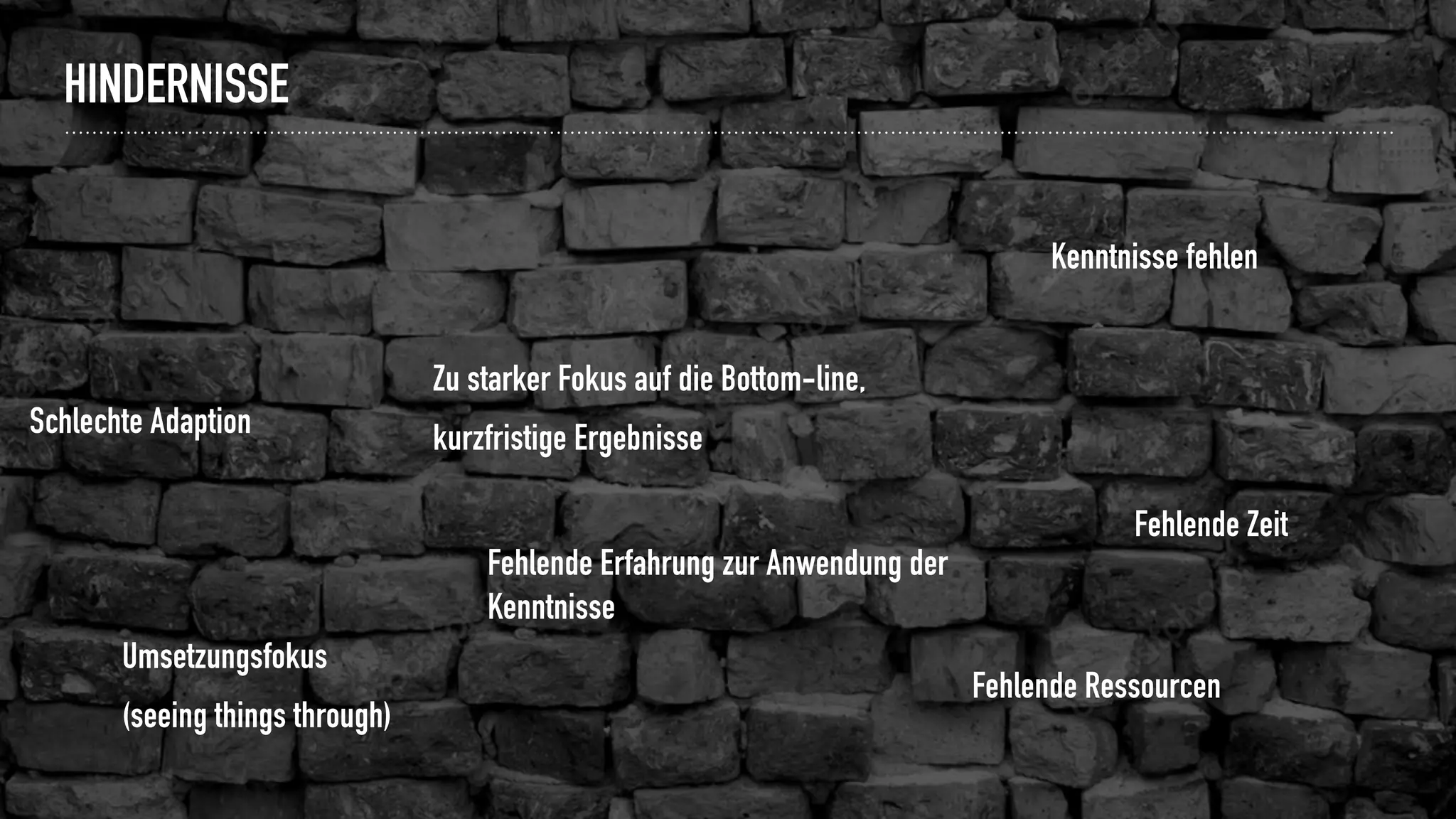 HINDERNISSE
Schlechte Adaption
Umsetzungsfokus
(seeing things through)
Fehlende Ressourcen
Fehlende Zeit
Zu starker Fokus auf die Bottom-line,
kurzfristige Ergebnisse
Kenntnisse fehlen
Fehlende Erfahrung zur Anwendung der
Kenntnisse
 