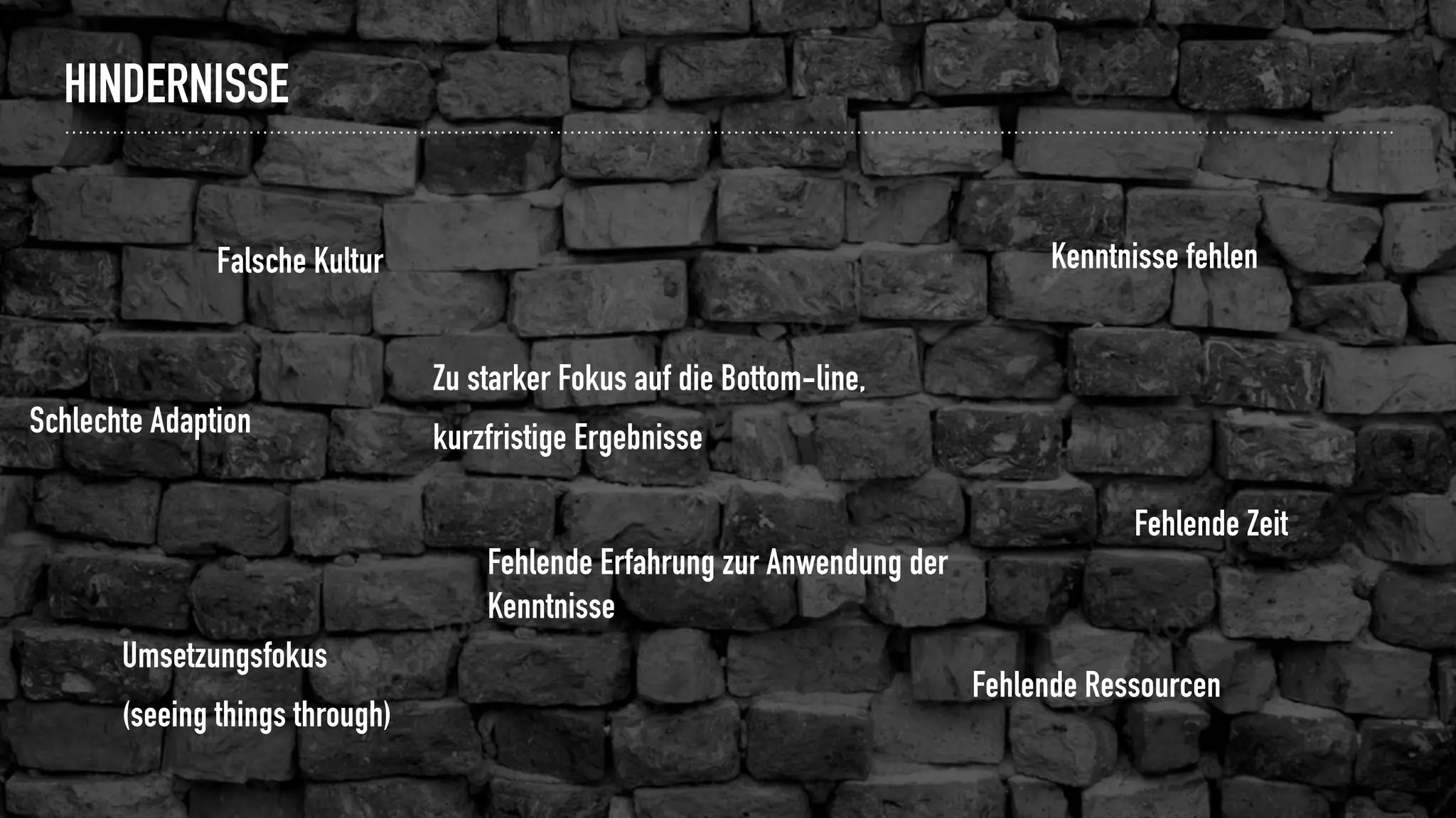 HINDERNISSE
Schlechte Adaption
Falsche Kultur
Umsetzungsfokus
(seeing things through)
Fehlende Ressourcen
Fehlende Zeit
Zu starker Fokus auf die Bottom-line,
kurzfristige Ergebnisse
Kenntnisse fehlen
Fehlende Erfahrung zur Anwendung der
Kenntnisse
 