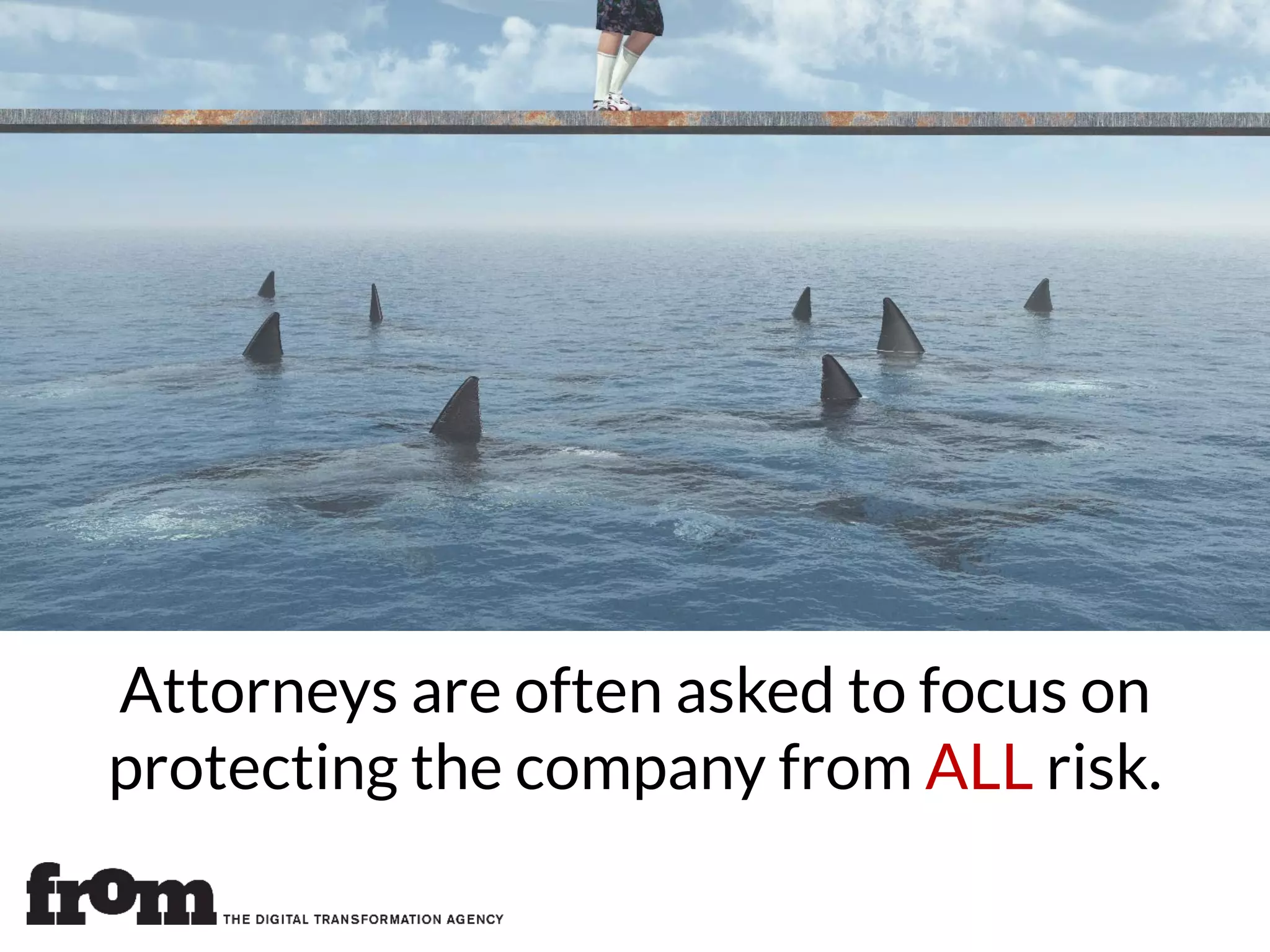 Attorneys are often asked to focus on
protecting the company from ALL risk.
 