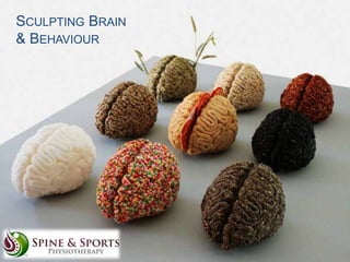 SCULPTING BRAIN
& BEHAVIOUR

 