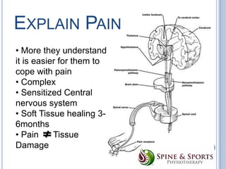 EXPLAIN PAIN
• More they understand
it is easier for them to
cope with pain
• Complex
• Sensitized Central
nervous system
• Soft Tissue healing 36months
• Pain
Tissue
Damage

 