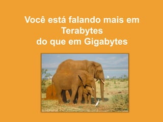 Você está falando mais em
Terabytes
do que em Gigabytes
 