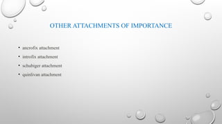 Comprehensive Overview of Overdentures: Definitions, Indications, and ...