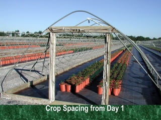 Crop Spacing from Day 1  