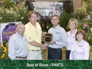 Best of Show – PANTS   