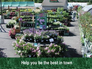 Help you be the best in town   