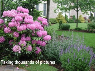 Taking thousands of pictures  