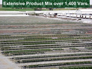 Extensive Product Mix over 1,400 Vars.   