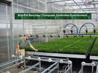 Roll-Pal Benches / Computer Controlled Environment   