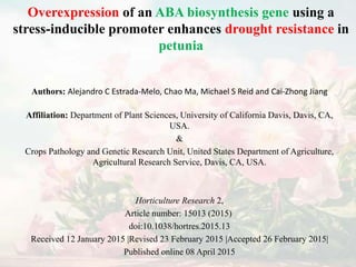 Overexpression of an ABA biosynthesis gene using a
stress-inducible promoter enhances drought resistance in
petunia
Authors: Alejandro C Estrada-Melo, Chao Ma, Michael S Reid and Cai-Zhong Jiang
Affiliation: Department of Plant Sciences, University of California Davis, Davis, CA,
USA.
&
Crops Pathology and Genetic Research Unit, United States Department of Agriculture,
Agricultural Research Service, Davis, CA, USA.
Horticulture Research 2,
Article number: 15013 (2015)
​doi:10.1038/hortres.2015.13
Received 12 January 2015 |Revised 23 February 2015 |Accepted 26 February 2015|
Published online 08 April 2015
 