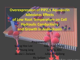Overexpression of PIP2;5 Aquaporin
        Alleviates Effects
 of Low Root Temperature on Cell
      Hydraulic Conductivity
    and Growth in Arabidopsis


                Proponents:
  Seong Hee Lee            Gap Chae Chung
    Ji Young Jang             Sung Ju Ahn
  Janusz J. Zwiazek         Julius Manolong
                 Ric Solijon
 
