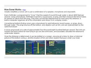 Overfishing & Aquaculture