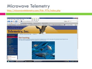 Overfishing & Aquaculture