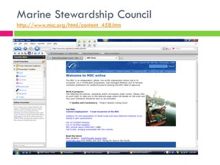 Overfishing & Aquaculture