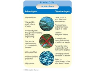 Overfishing & Aquaculture