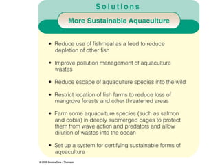 Overfishing & Aquaculture