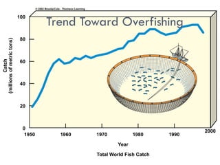 Overfishing & Aquaculture
