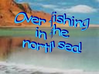 Over fishing  in the  north sea! 