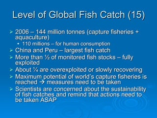 Level of Global Fish Catch (15) 2006 – 144 million tonnes (capture fisheries + aquaculture) 110 millions – for human consumption China and Peru – largest fish catch More than ½ of monitored fish stocks – fully exploited About ¼ are overexploited or slowly recovering Maximum potential of world’s capture fisheries is reached    measures need to be taken Scientists are concerned about the sustainability of fish catches and remind that actions need to be taken ASAP 