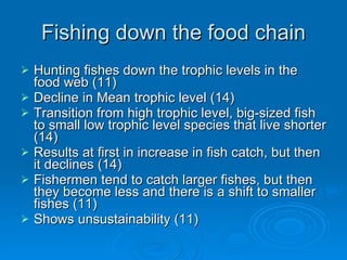 Fishing down the food chain Hunting fishes down the trophic levels   in the food web (11) Decline in Mean trophic level (14) Transition from high trophic level, big-sized fish to small low trophic level species that live shorter (14) Results at first in increase in fish catch, but then it declines (14) Fishermen tend to catch larger fishes, but then they become less and there is a shift to smaller fishes (11) Shows unsustainability (11) 