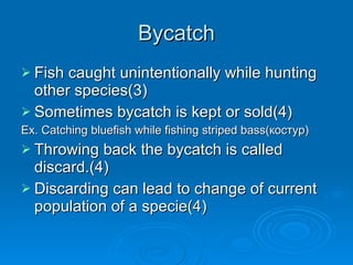 Bycatch Fish caught unintentionally while hunting other species(3) Sometimes bycatch is kept or sold(4) Ex. Catching bluefish while fishing striped bass( костур) Throwing back the bycatch is called discard.(4) Discarding can lead to change of current population of a specie(4) 