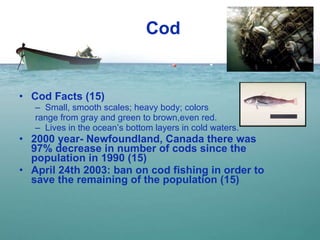 Cod Cod Facts (15)  Small, smooth scales; heavy body; colors  range from gray and green to brown,even red.  Lives in the ocean’s bottom layers in cold waters. 2000 year- Newfoundland, Canada there was 97% decrease in number of cods since the population in 1990 (15) April 24th 2003: ban on cod fishing in order to save the remaining of the population (15)  