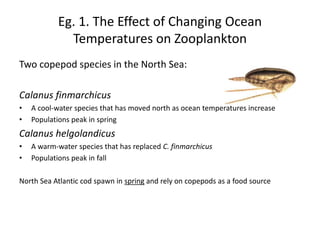 Eg. 1. The Effect of Changing Ocean
Temperatures on Zooplankton
Two copepod species in the North Sea:
Calanus finmarchicus
• A cool-water species that has moved north as ocean temperatures increase
• Populations peak in spring
Calanus helgolandicus
• A warm-water species that has replaced C. finmarchicus
• Populations peak in fall
North Sea Atlantic cod spawn in spring and rely on copepods as a food source
 